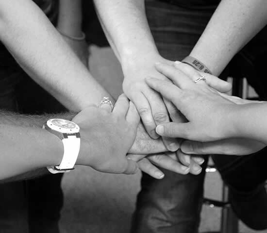 Web Design Company in Jaipur